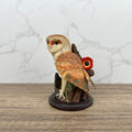 THE BARN OWL Sculpted by Andy Pearce, Hand Painted, Eaglemoss Publications 2004, Reader's Digest