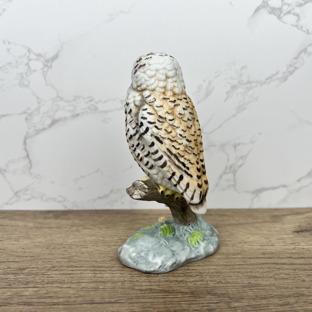 Porcelain Barn Owl Figurine, World of Beauty, Wild Life Figure