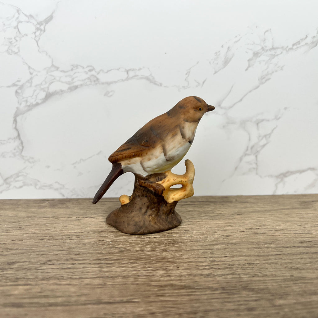 Vintage Hand Painted Porcelain Mistle Thrush Bird Figurine, British Wild Life Decoration