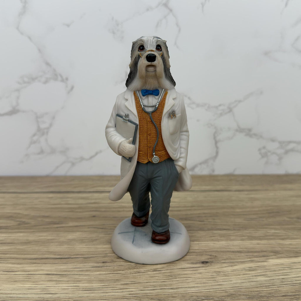 Robert Harrop Doggie People Bearded Collie Doctor Figurine, CC73 Limited Edition