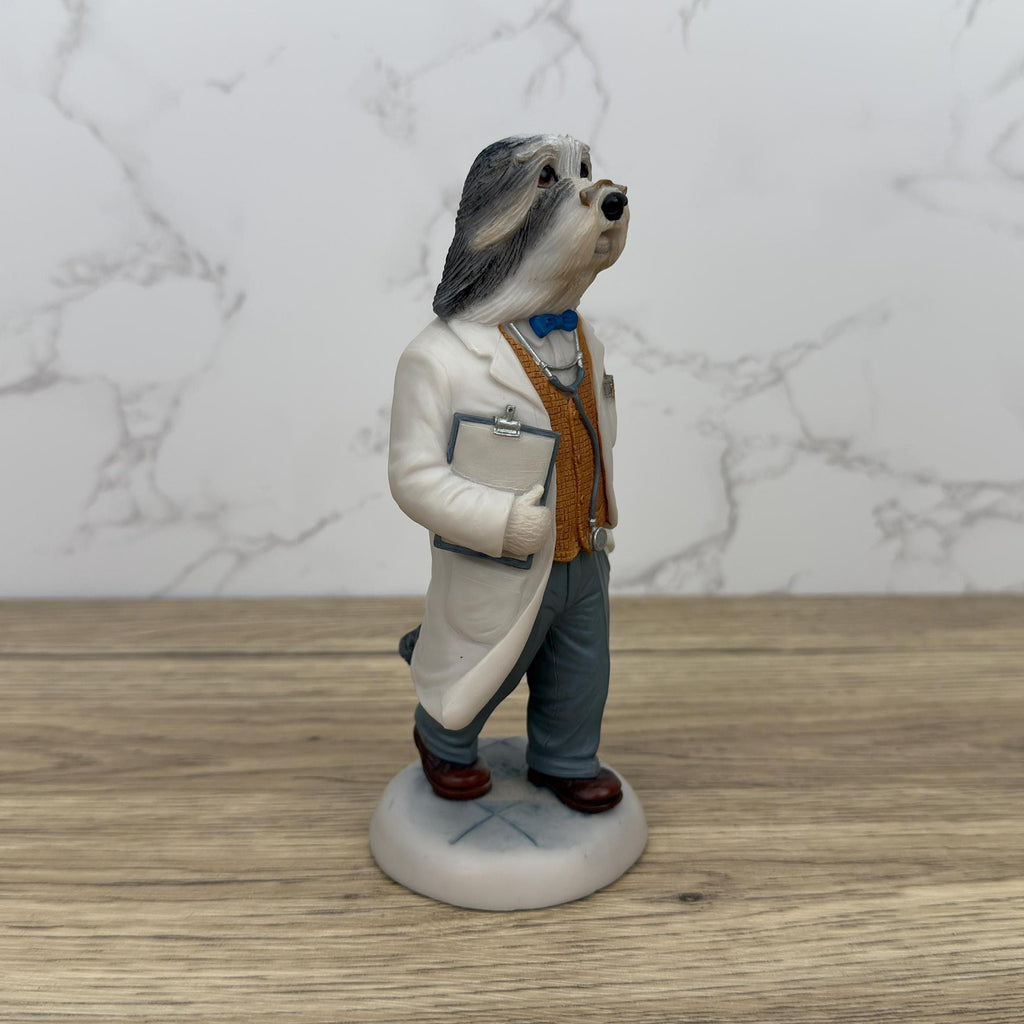 Robert Harrop Doggie People Bearded Collie Doctor Figurine, CC73 Limited Edition