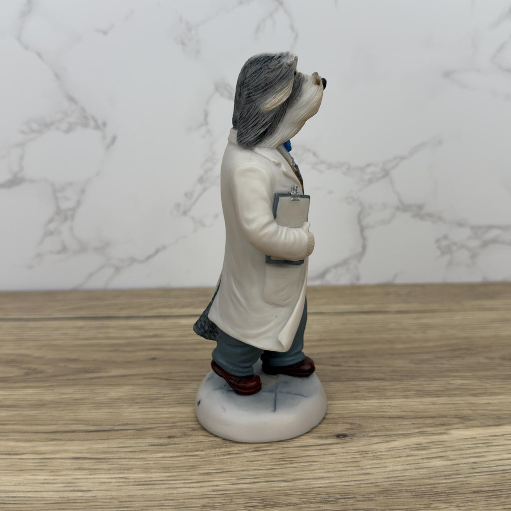 Robert Harrop Doggie People Bearded Collie Doctor Figurine, CC73 Limited Edition