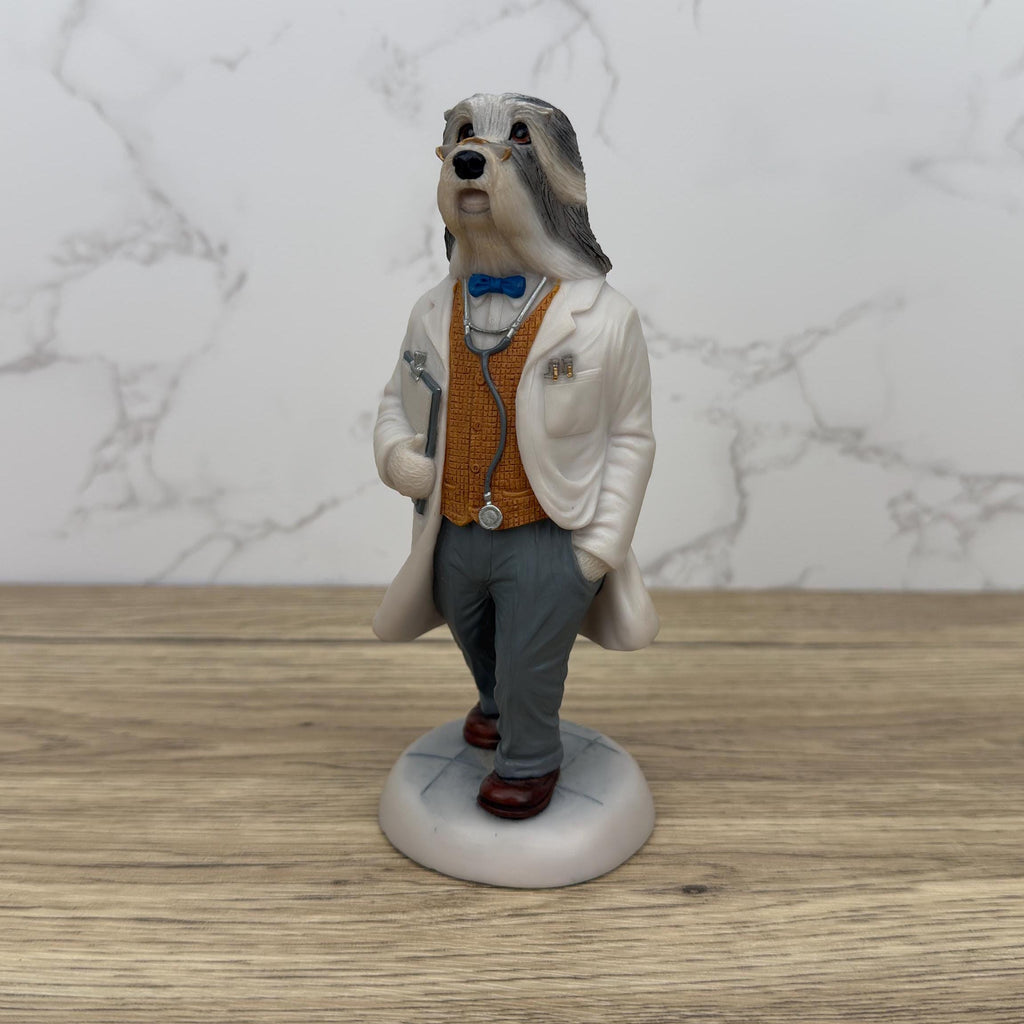 Robert Harrop Doggie People Bearded Collie Doctor Figurine, CC73 Limited Edition