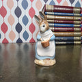 Royal Albert Beatrix Potter Mrs Rabbit Cooking Figurine English Ceramic Character Collectible Storybook Figure