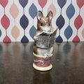 Royal Albert Beatrix Potter Tailor of Gloucester Mouse Figurine English Ceramic Storybook Character Collectible
