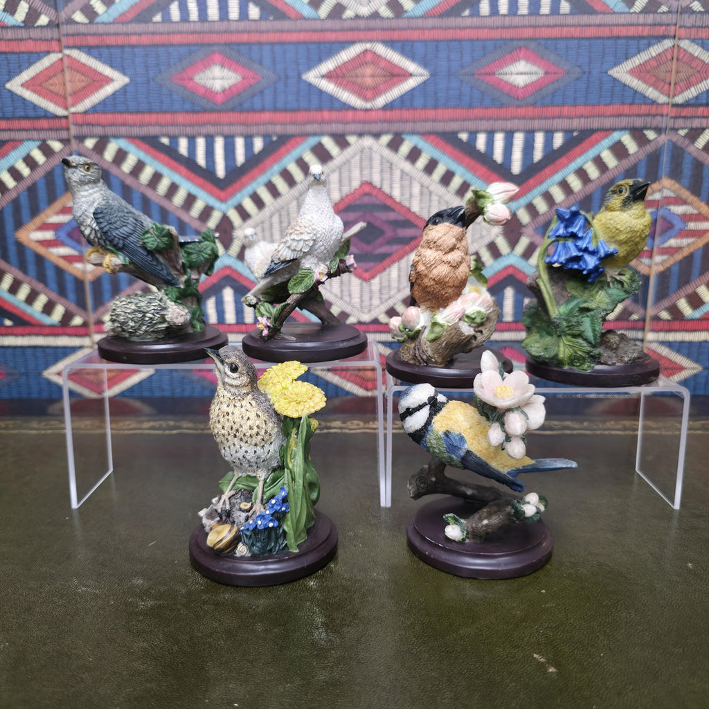 Country Bird Collection Figurines Hand Painted Wildlife Sculptures by Andy Pearce Eaglemoss Bird Species