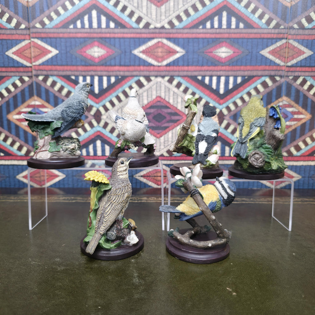 Country Bird Collection Figurines Hand Painted Wildlife Sculptures by Andy Pearce Eaglemoss Bird Species