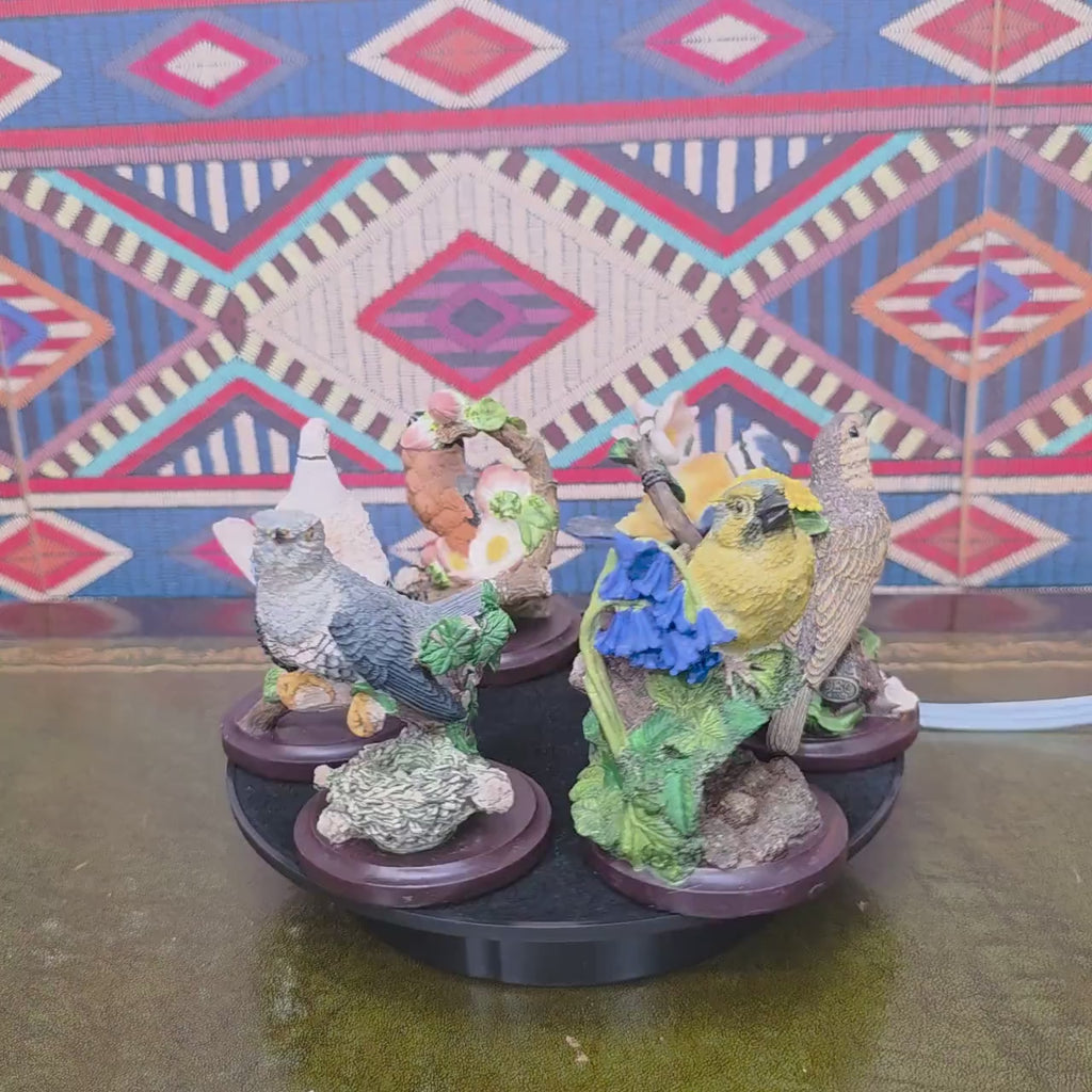 Country Bird Collection Figurines Hand Painted Wildlife Sculptures by Andy Pearce Eaglemoss Bird Species